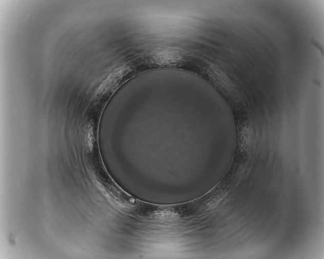 X0000102040644200807251415