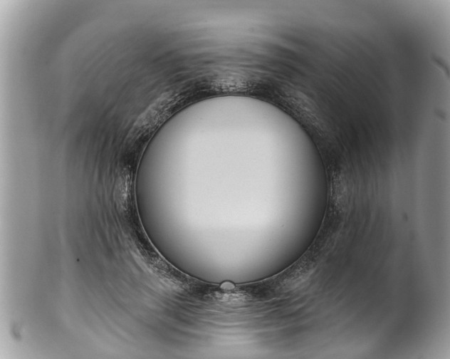 X0000102040645200807251415