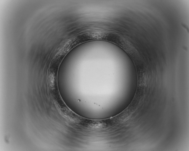 X0000102040646200807251415