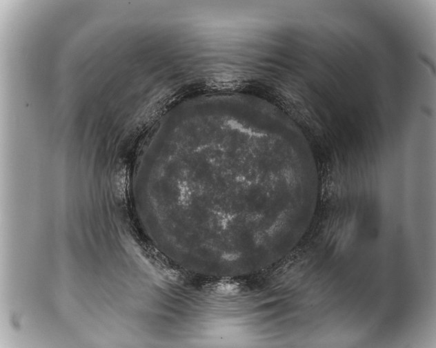 X0000102040647200807251415