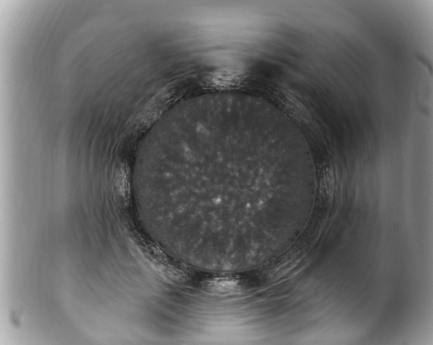 X0000102040651200807251415