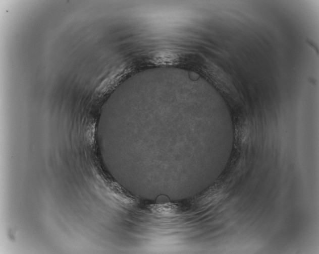 X0000102040652200807251415