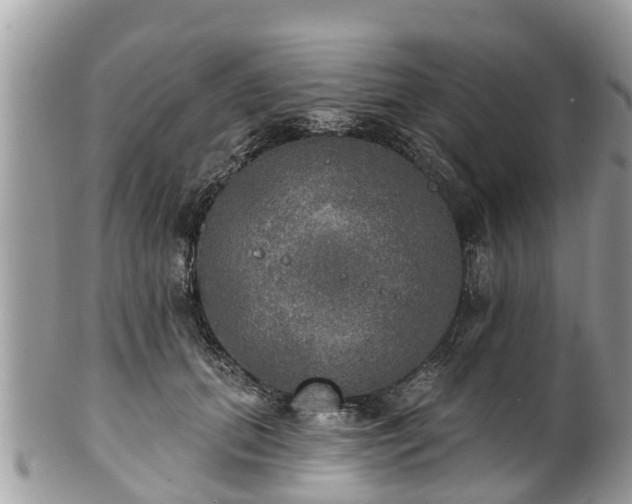 X0000102040655200807251415