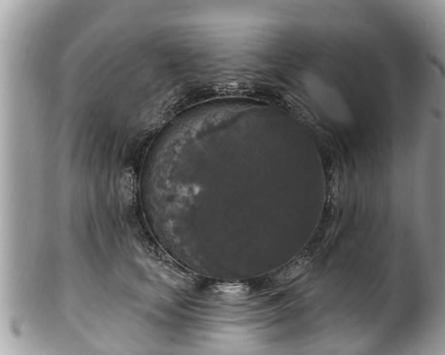 X0000102040659200807251415