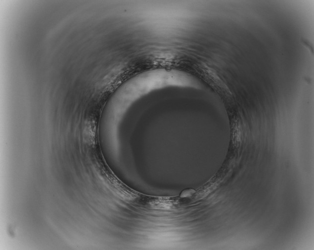 X0000102040661200807251415