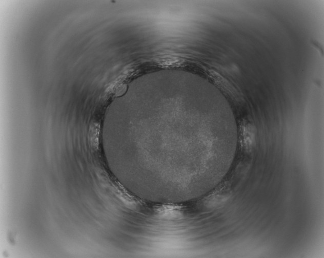 X0000102040664200807251416