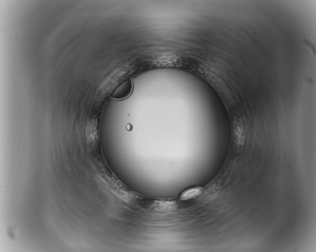 X0000102040665200807251416