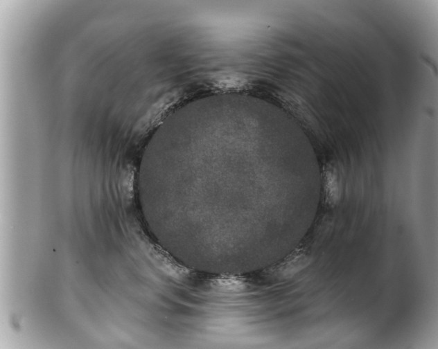 X0000102040668200807251416