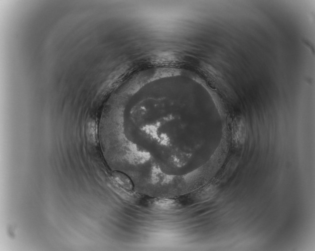 X0000102040669200807251416