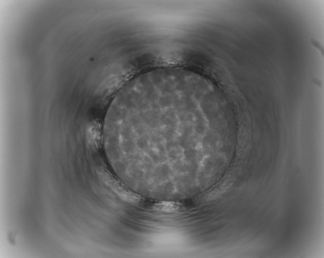 X0000102040672200807251416