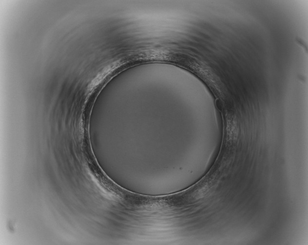 X0000102040674200807251415