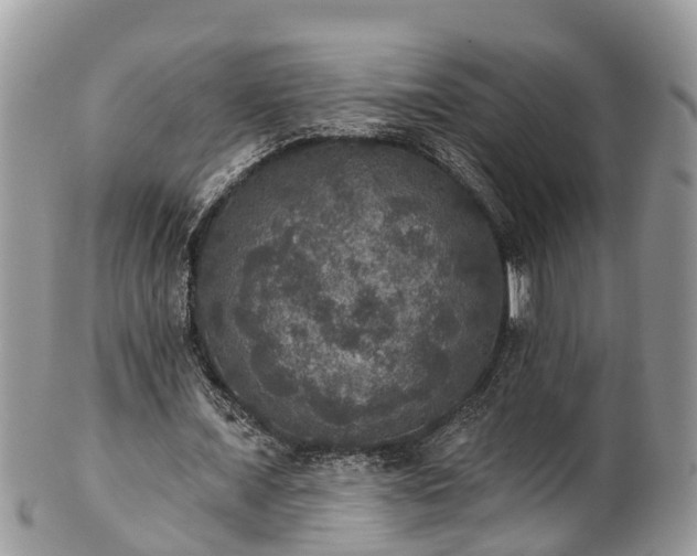 X0000102040675200807251415