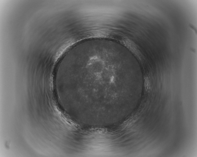 X0000102040676200807251415