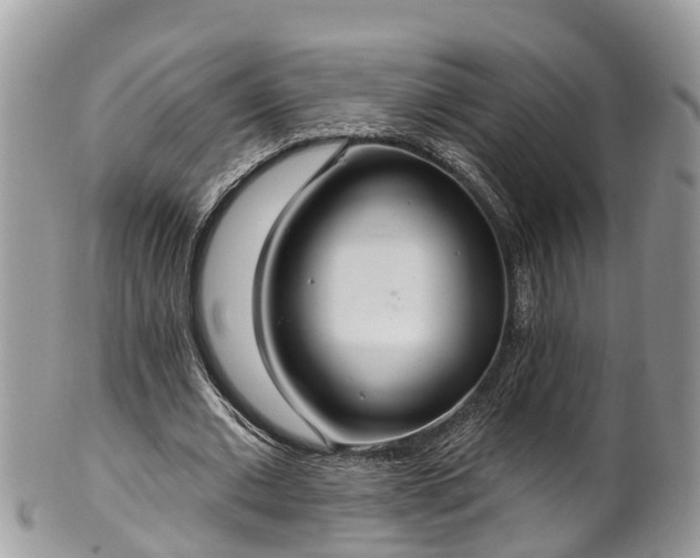 X0000102040677200807251415