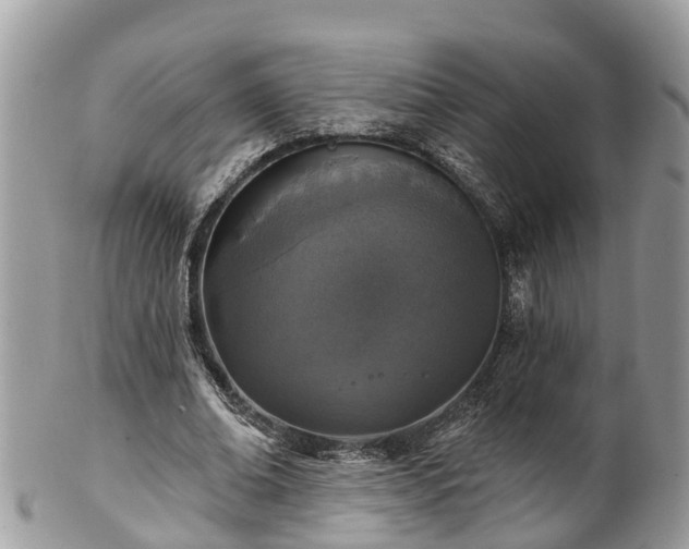 X0000102040678200807251415