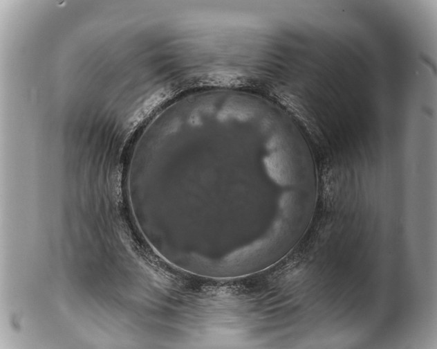 X0000102040679200807251415