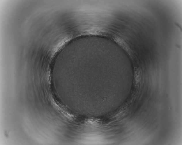 X0000102040680200807251415