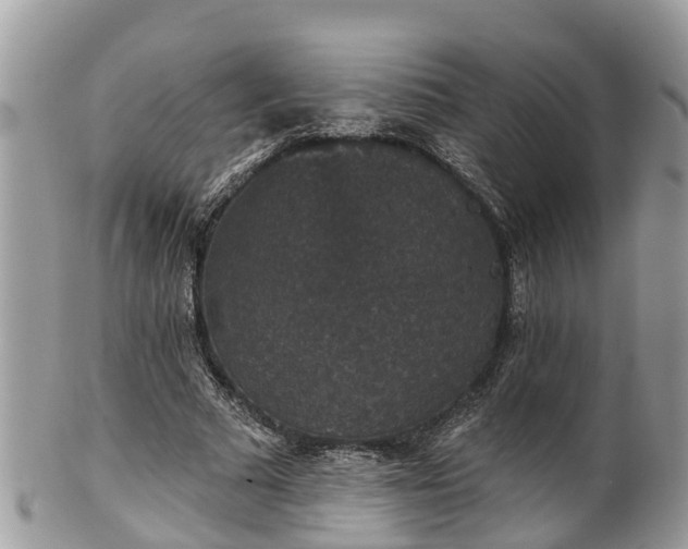 X0000102040681200807251415