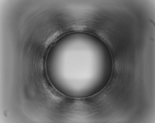 X0000102040682200807251415