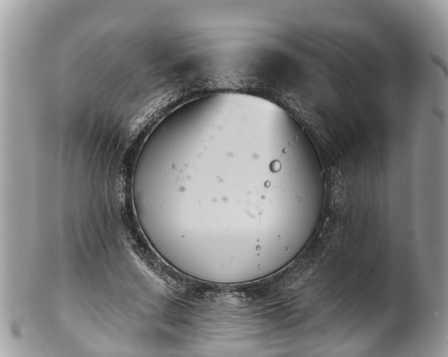 X0000102040683200807251415