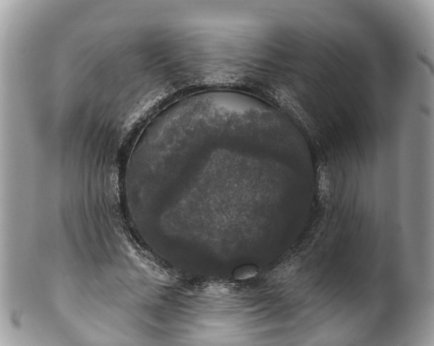 X0000102040684200807251415