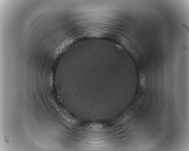 X0000102040685200807251415