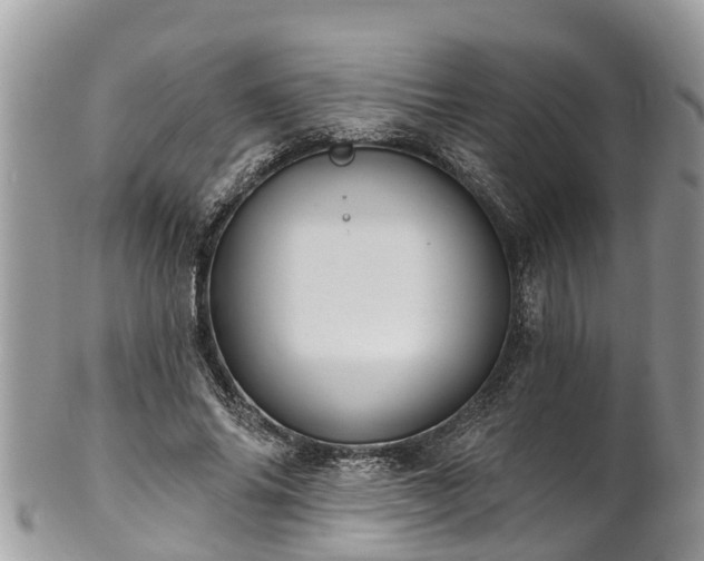 X0000102040686200807251415