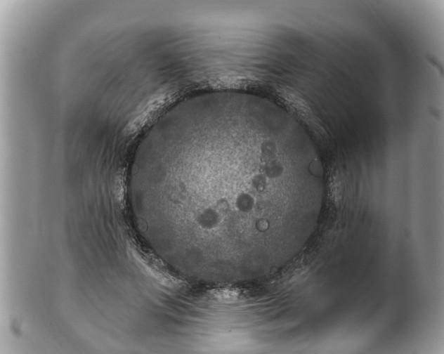 X0000102040687200807251415