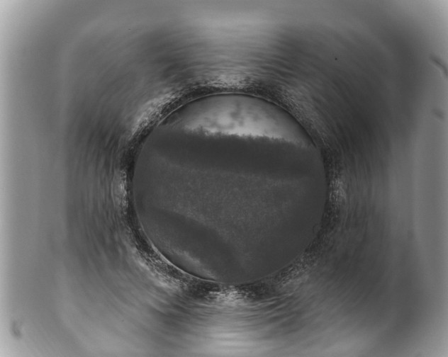 X0000102040688200807251415