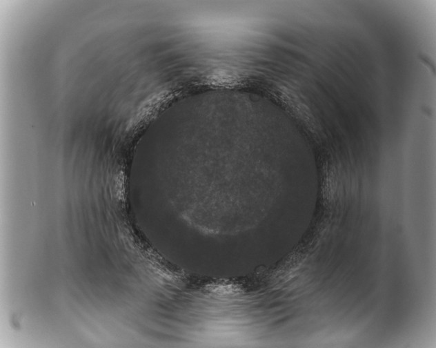 X0000102040689200807251415