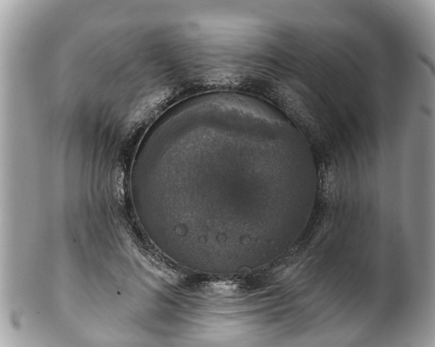 X0000102040692200807251415