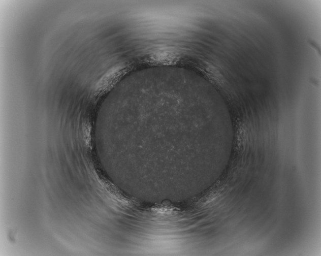 X0000102040693200807251414