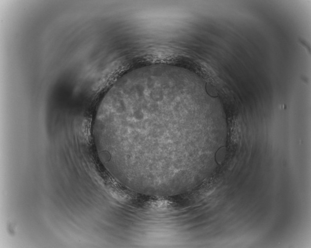 X0000102040695200807251414