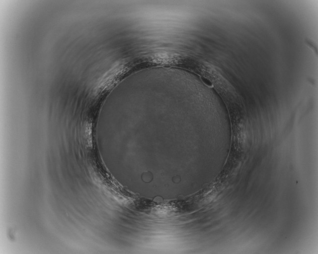 X0000102040696200807251414