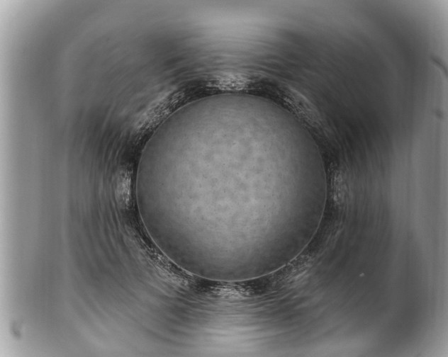 X0000102040697200807251414