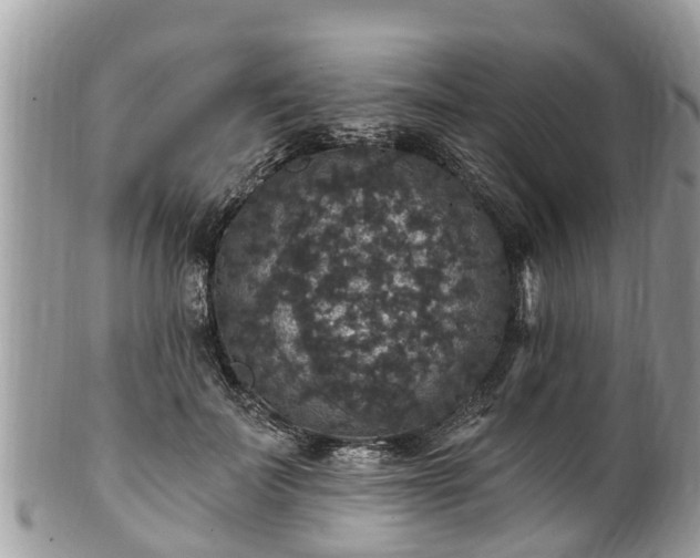 X0000102040699200807251414