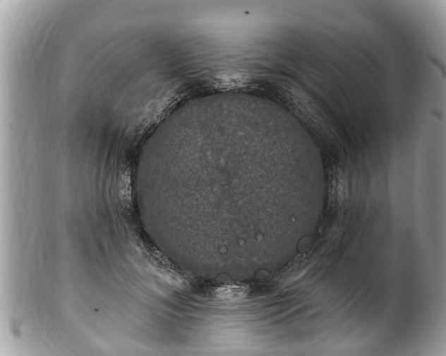 X0000102040700200807251414