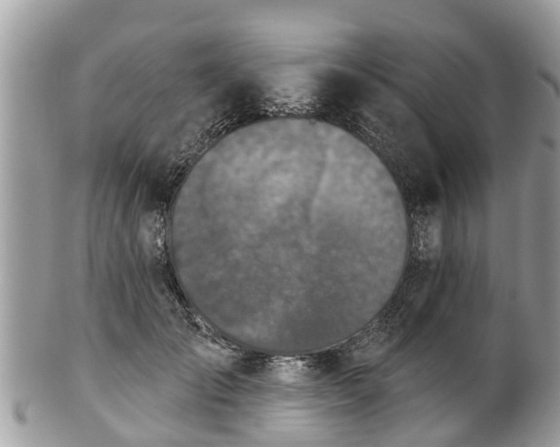 X0000102040701200807251414