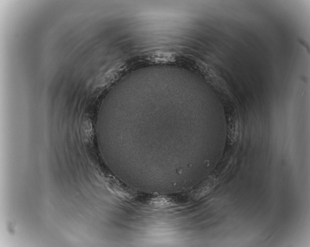 X0000102040704200807251414