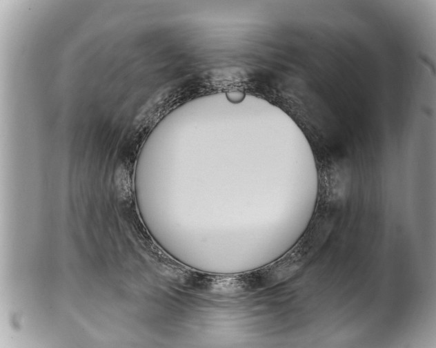 X0000102040705200807251414