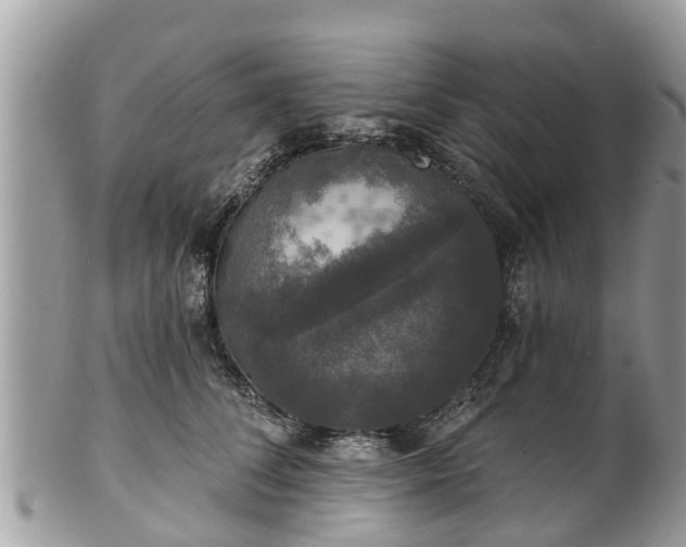 X0000102040708200807251414