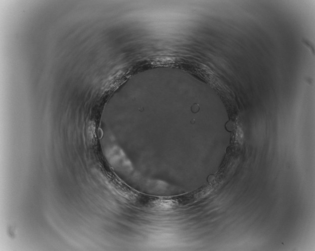 X0000102040711200807251414