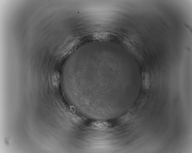 X0000102040712200807251414