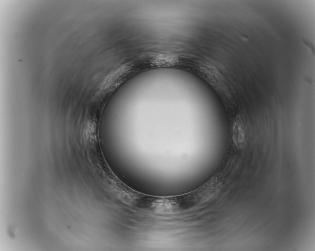 X0000102040714200807251414