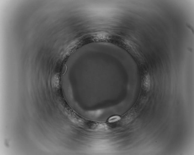 X0000102040715200807251414