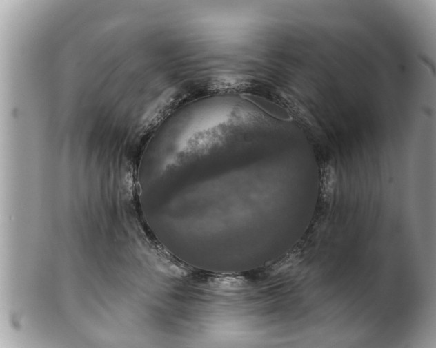 X0000102040716200807251414