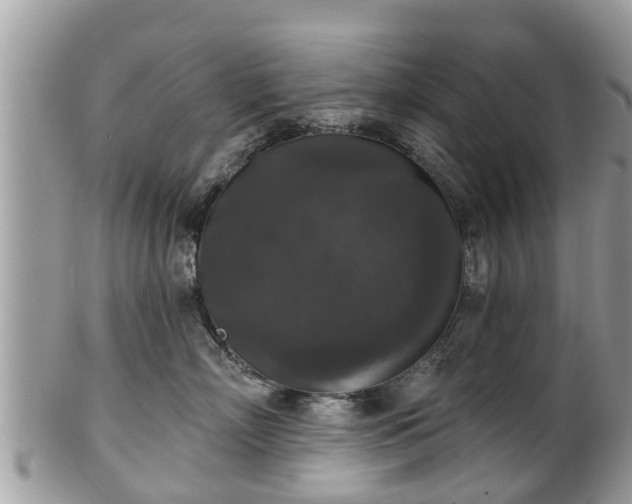 X0000102040718200807251414