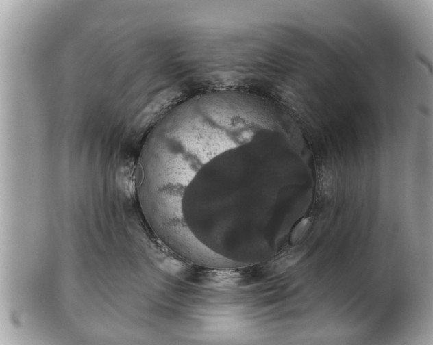 X0000102040719200807251414