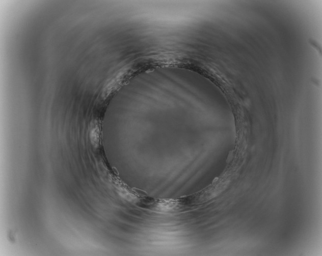 X0000102040720200807251414