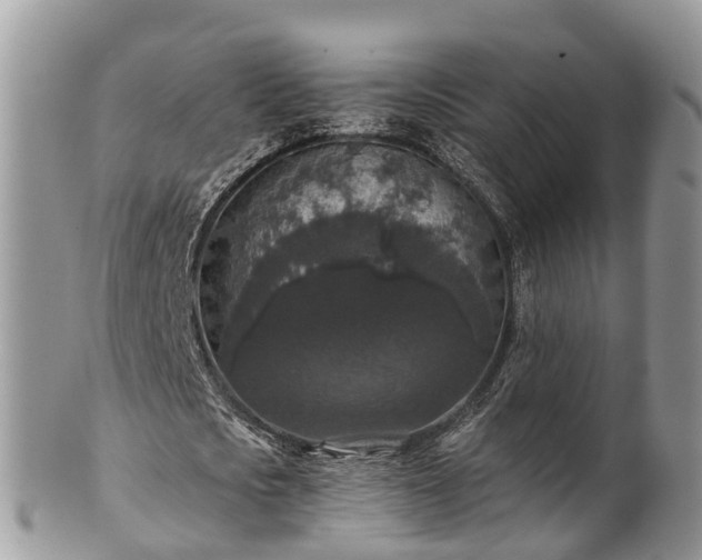 X0000102040721200807251413